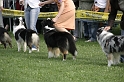 IMG_3454