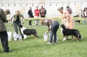 IMG_3467