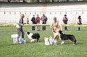 IMG_3468
