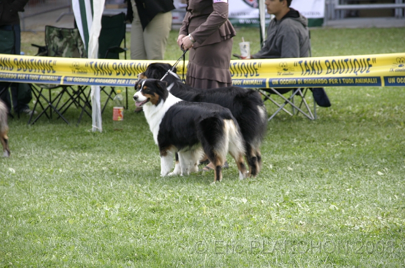 IMG_4238.JPG