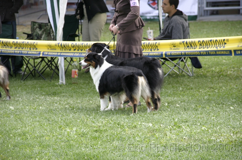 IMG_4239.JPG