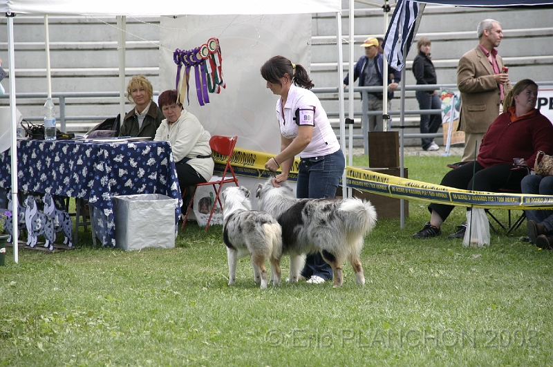 IMG_4241.JPG