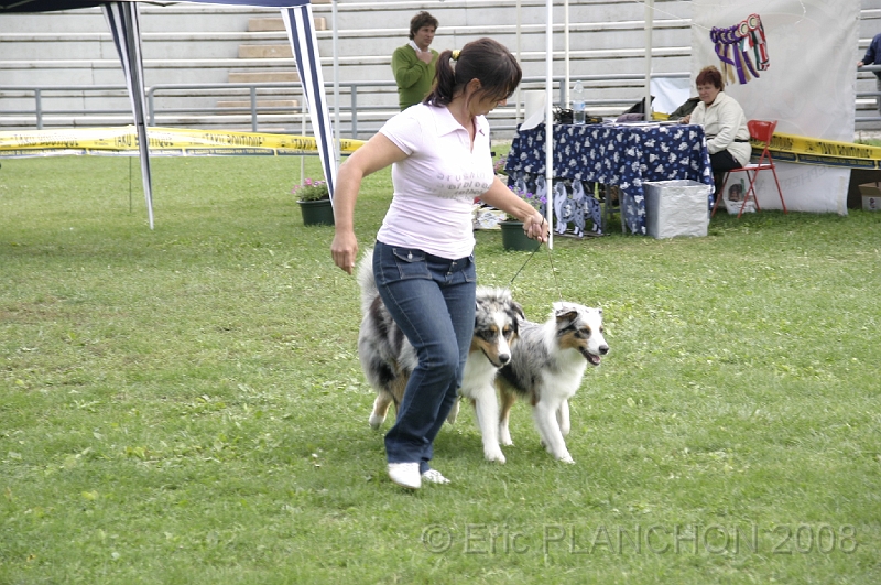 IMG_4246.JPG