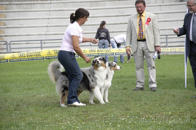 IMG_4247.JPG