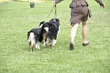 IMG_4267