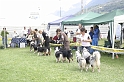 IMG_4277