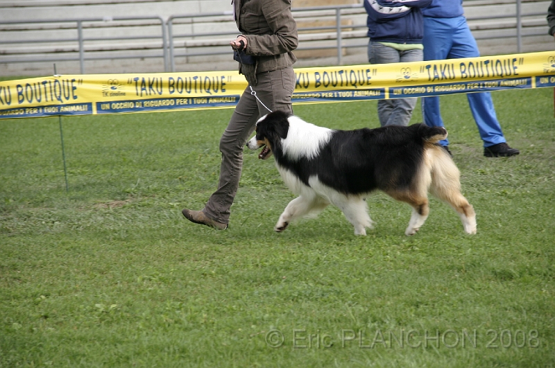 IMG_3561.JPG