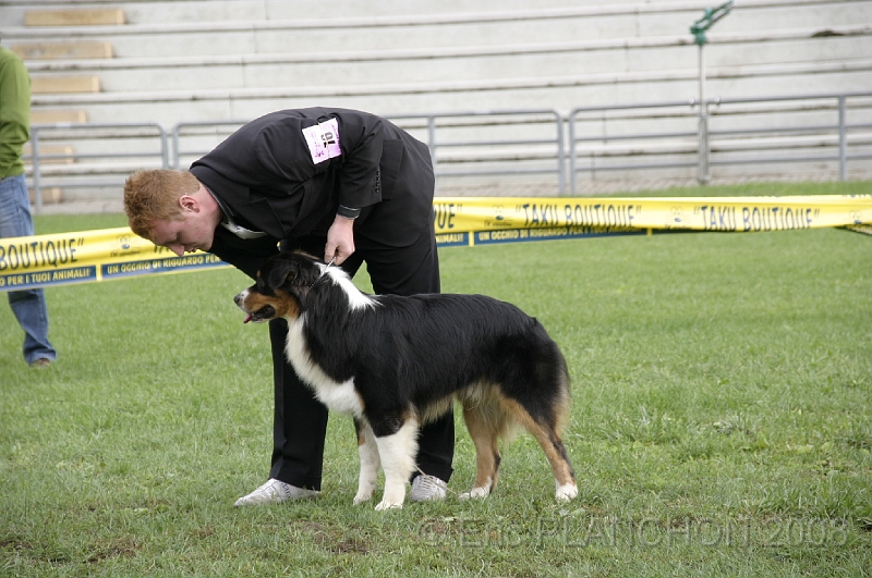 IMG_3575.JPG