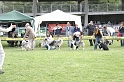 IMG_4336