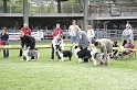 IMG_4337