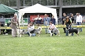 IMG_4341