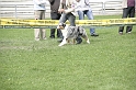IMG_3424