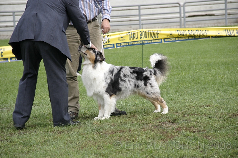IMG_3751.JPG
