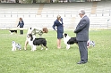IMG_3972
