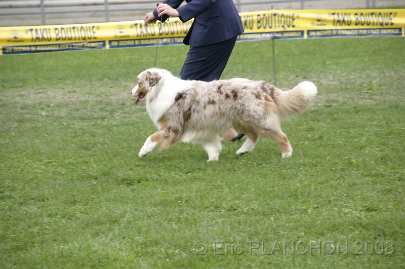 IMG_3896.JPG