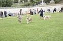 IMG_3886