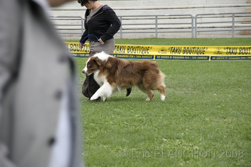 IMG_3910.JPG