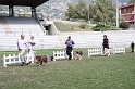 IMG_2895