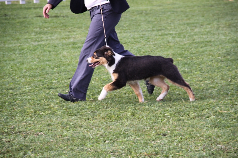 IMG_0035.JPG