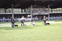 IMG_0032