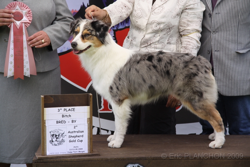 IMG_2769.JPG