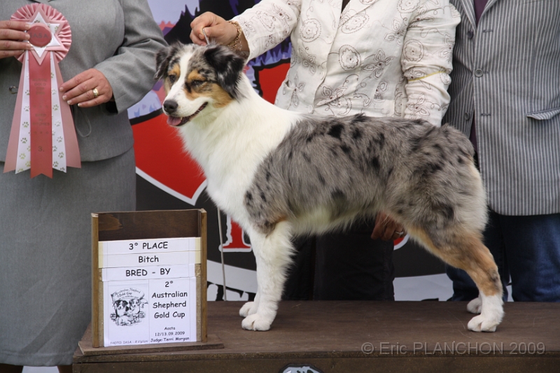 IMG_2770.JPG