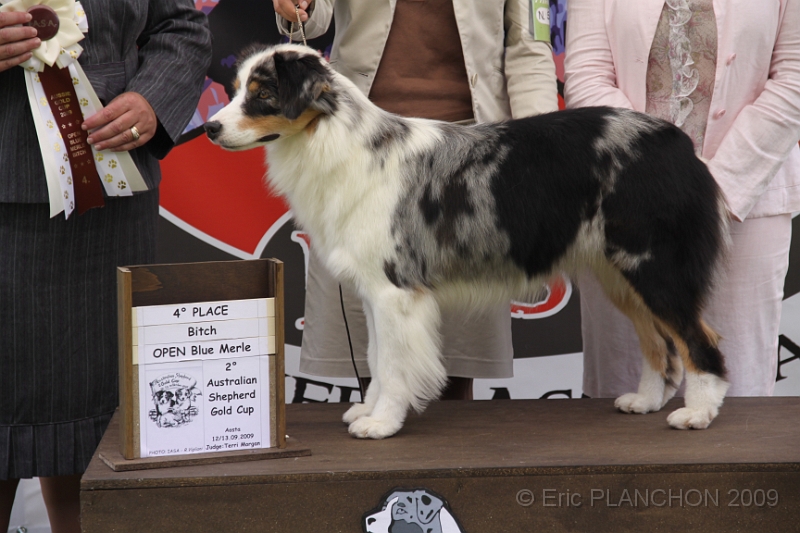 IMG_0968.JPG