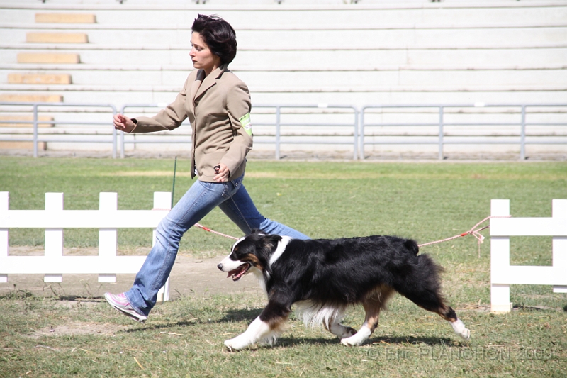 IMG_2794.JPG