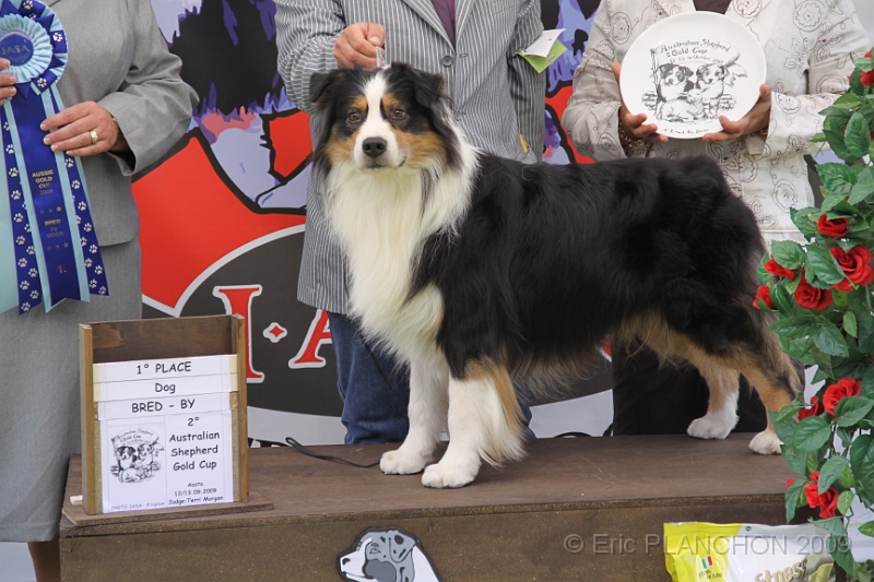 IMG_2815.JPG