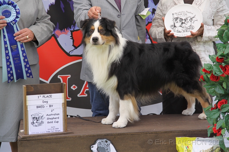 IMG_2817.JPG