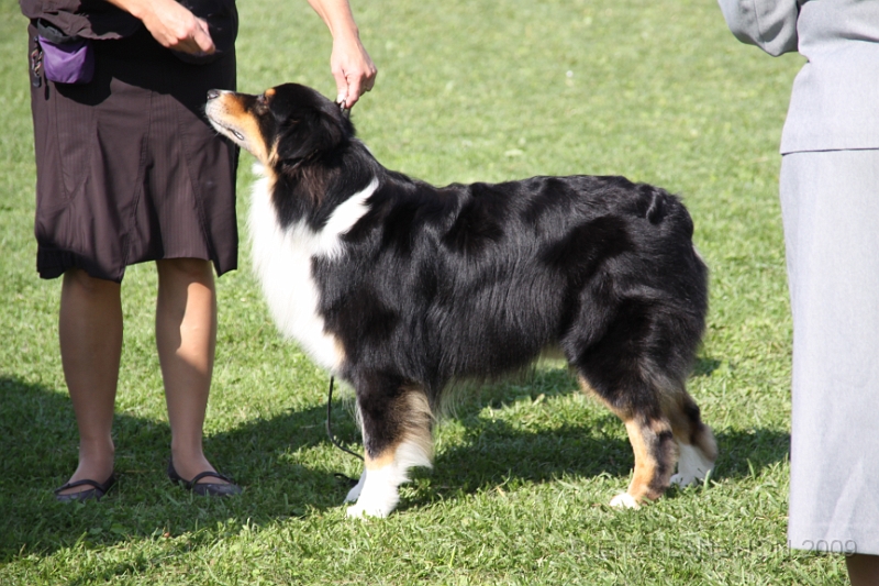 IMG_2451.JPG