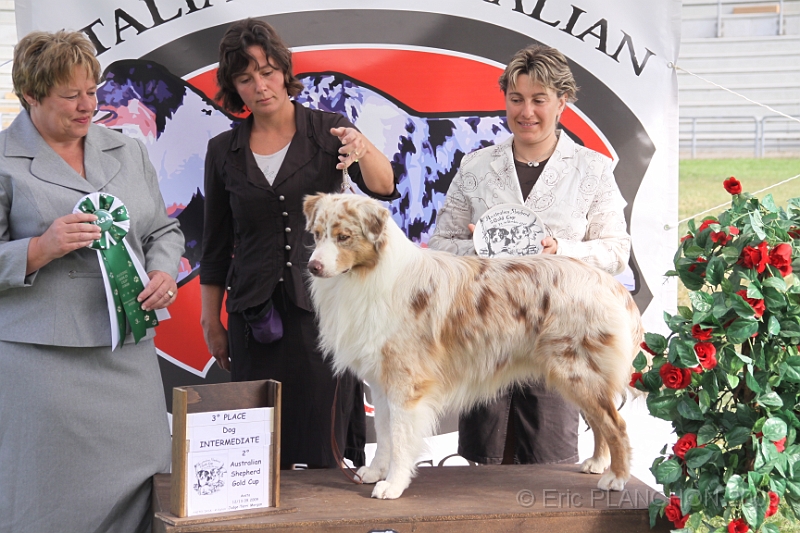 IMG_1981.JPG