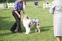IMG_1910