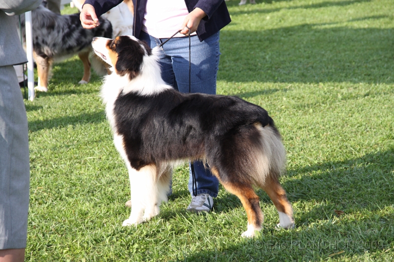 IMG_1746.JPG