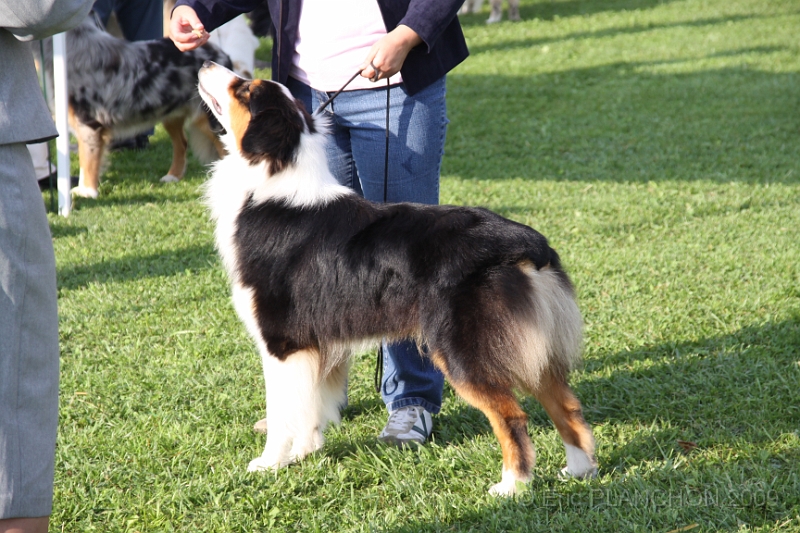 IMG_1747.JPG