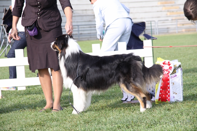 IMG_1779.JPG