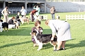 IMG_1713