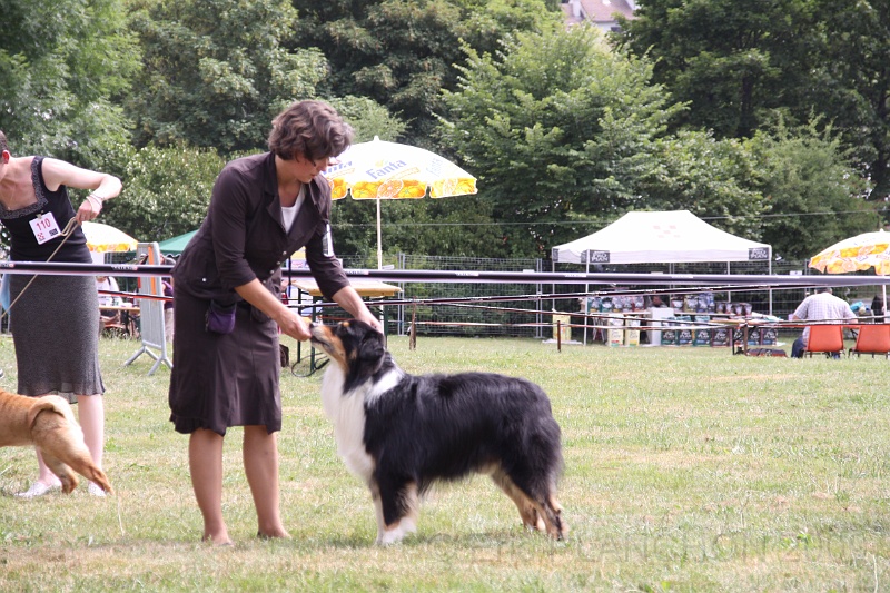 IMG_0071.JPG