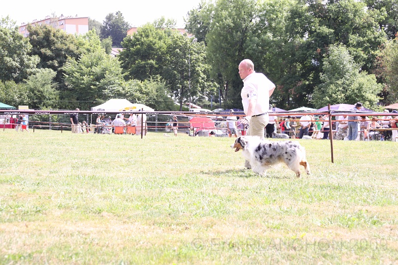 IMG_0078.JPG