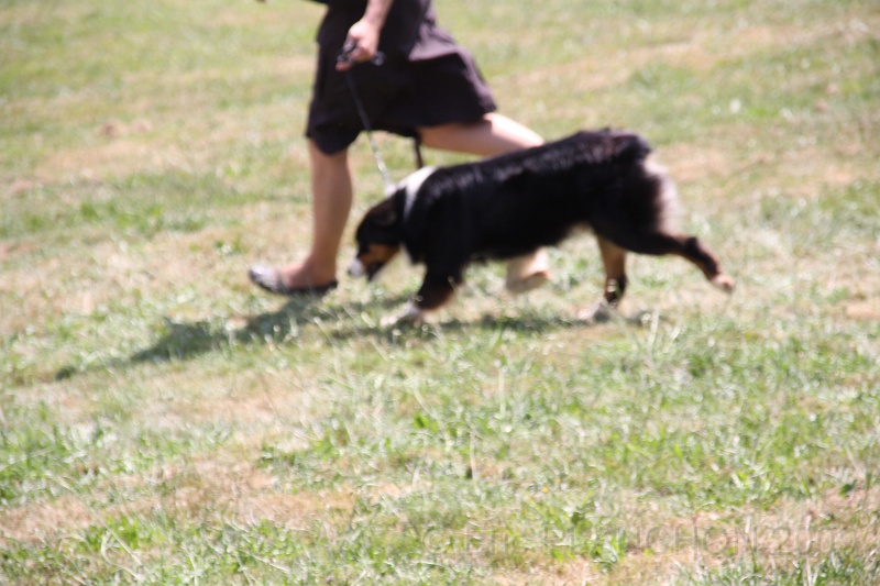 IMG_0113.JPG