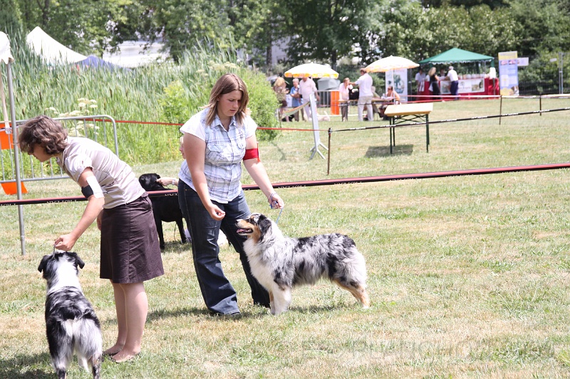 IMG_0133.JPG
