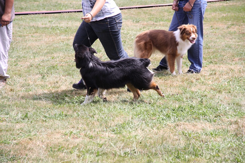 IMG_0177.JPG