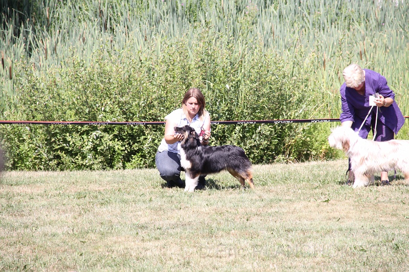 IMG_0265.JPG