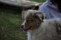 IMG_0005