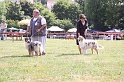 IMG_0007