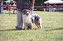 IMG_0009
