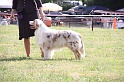 IMG_0010