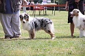 IMG_0011