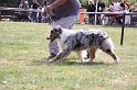 IMG_0013