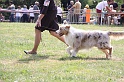 IMG_0017